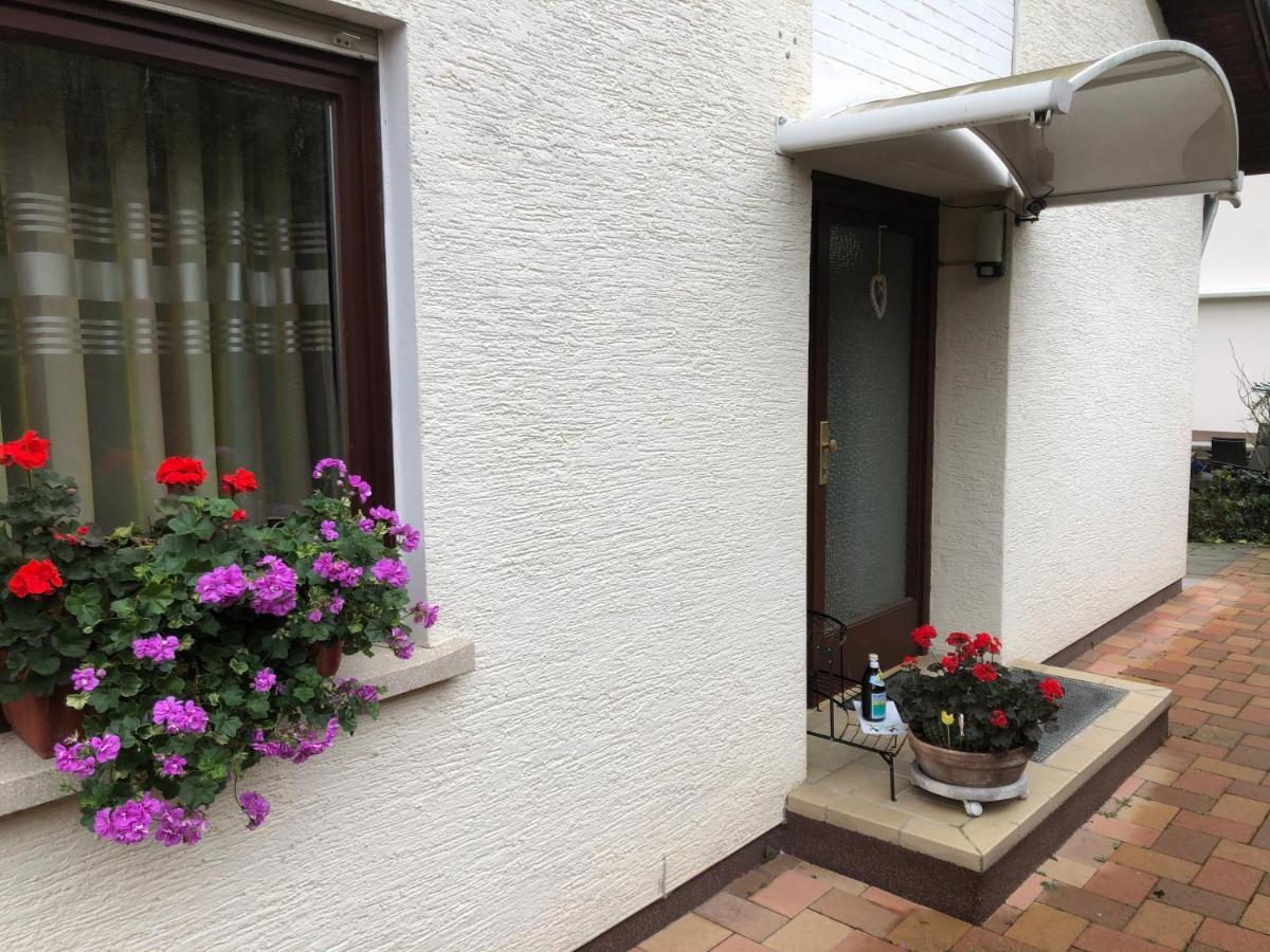Ferienwohnung Heidelberg Ze-2020-7-Wz Екстериор снимка